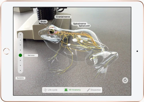 Apple IPad (2022) 10.9 Inch 256GB Wifi + 5G Roze + Apple Pencil 1 (2022) 17 Apple IPad (2022) 10.9 Inch 256GB Wifi + 5G Roze + Apple Pencil 1 (2022) - Afbeelding 15