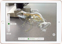 Apple IPad (2021) 10.2 Inch 256GB Wifi Zilver + Apple Pencil (1e Generatie) -Samsung || APPLE || Google Winkel 1185213 7