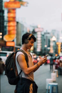 JBL Tune 660NC Zwart -Samsung || APPLE || Google Winkel 1535752