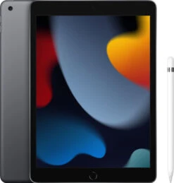 Apple IPad (2021) 10.2 Inch 256GB Wifi Space Gray + Apple Pencil (1e Generatie)