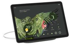Google Pixel Tablet 256GB Wifi Grijs + Pixel Tablet Back Cover Grijs + Nest Mini Grijs -Samsung || APPLE || Google Winkel 1918088 19